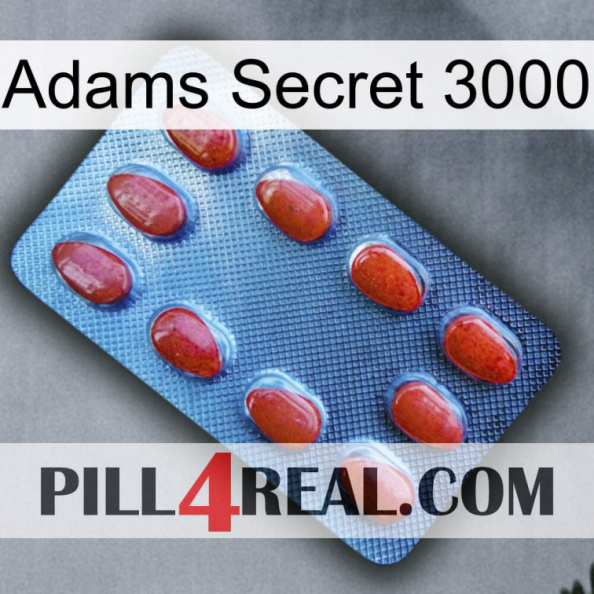 Adams Secret 3000 06.jpg